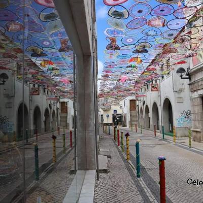 209886140 1447683142257235 1956492938910724424 N